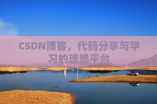 CSDN博客，代码分享与学习的理想平台